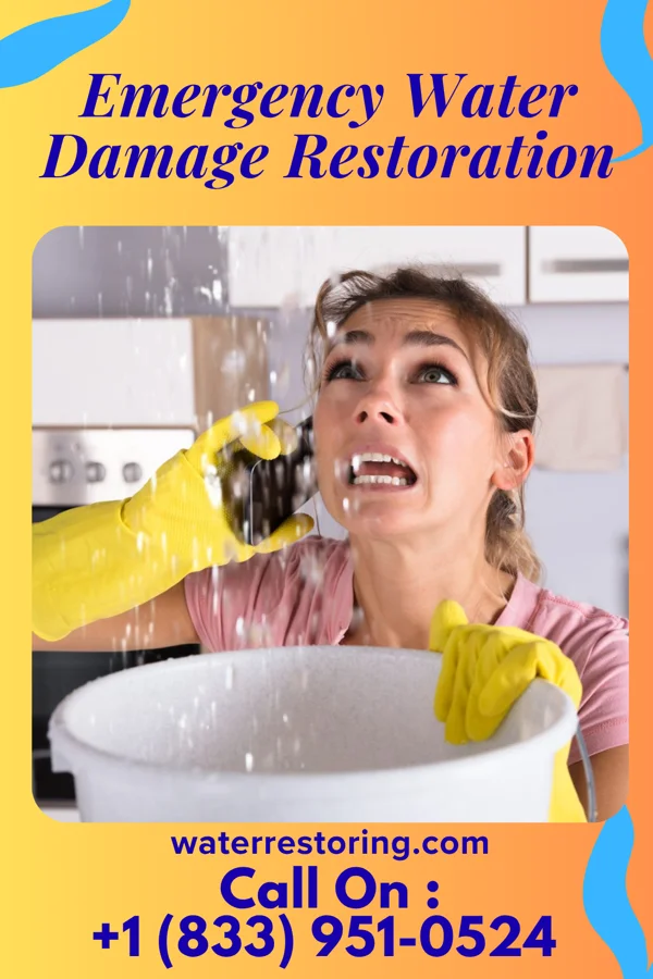 Emergency Water Damage Restoration in East Charlotte, VT