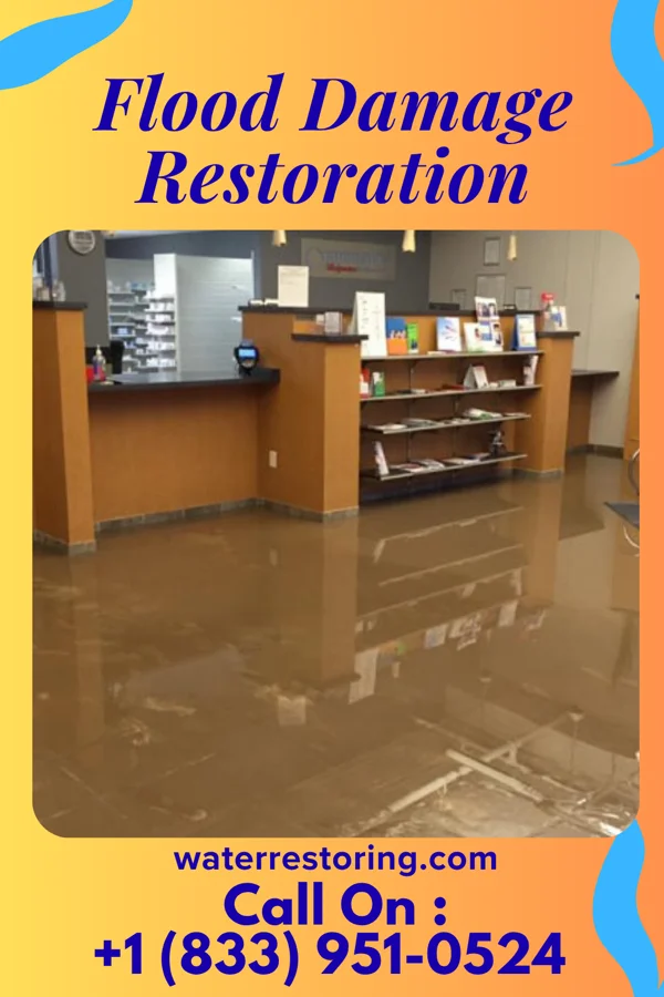 Flood Damage Restoration in East Charlotte, VT