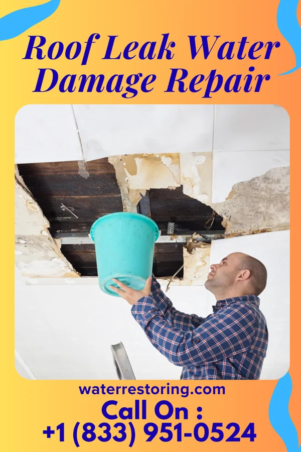 Roof Leak Water Damage Repair in East Charlotte, VT