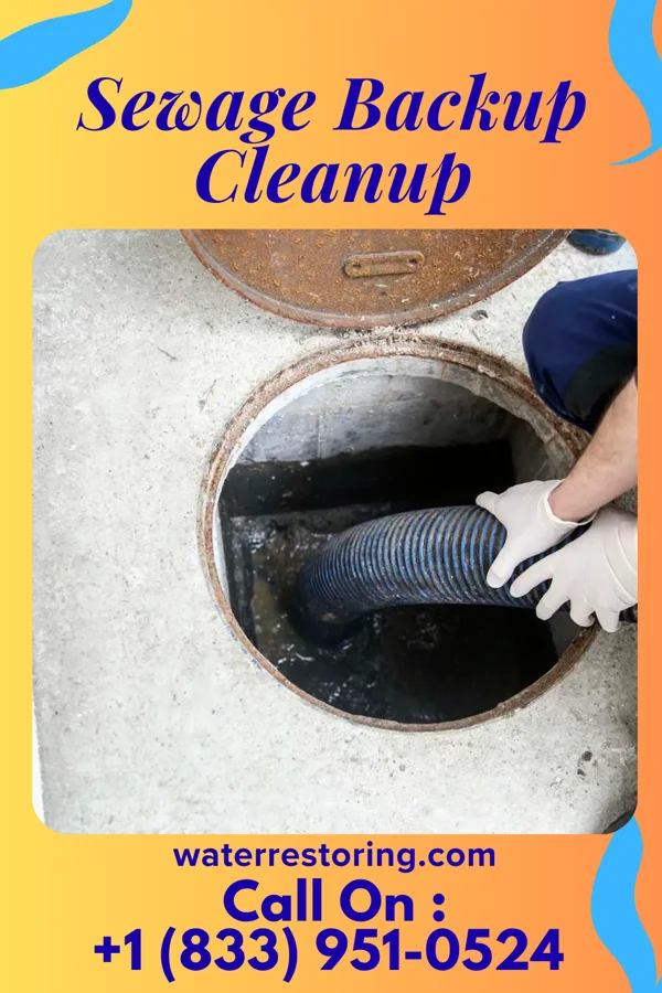 Sewage Backup Cleanup in East Charlotte, VT