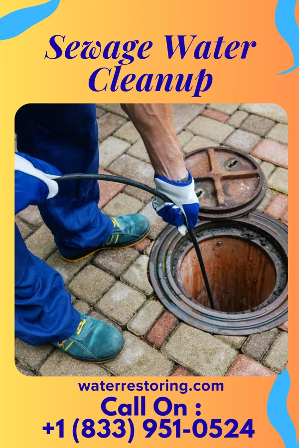 Sewage Water Cleanup in East Charlotte, VT