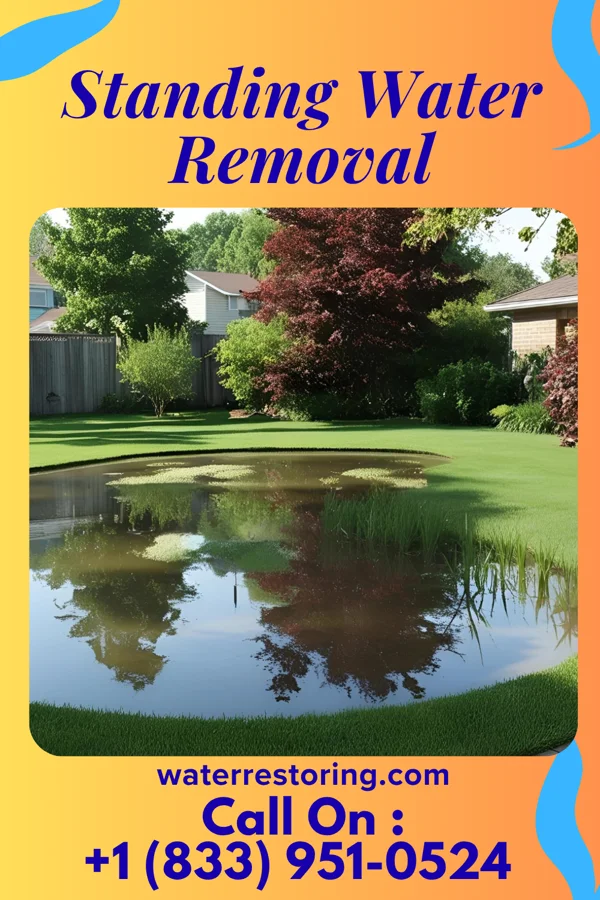 Standing Water Removal in East Charlotte, VT